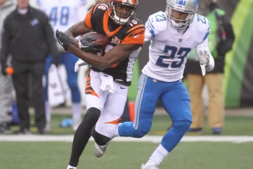 lions vs bengals