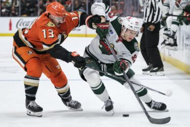ducks-wild